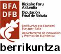DFB berrikuntza
