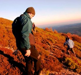 innovación innovation debate