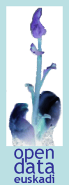 open data euskadi
