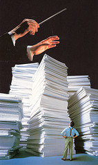 partes de baja a cascoporro