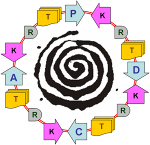 PDCA administracion PDCA administracion