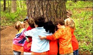 Cuando acabéis de abrazar ese árbol, corred a abrazar a un funcionario.